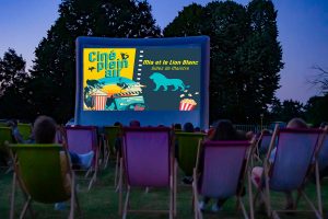 cine fest bus la mesiere