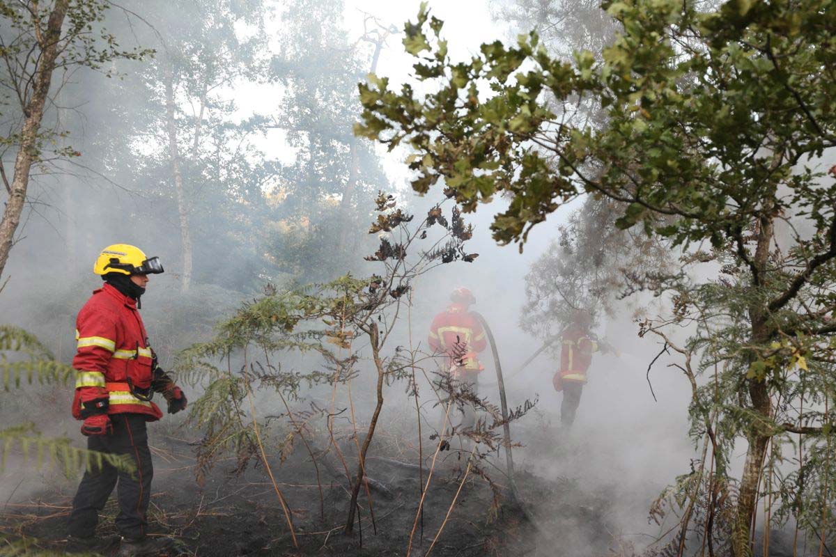 pompier incendie foret ermenonville