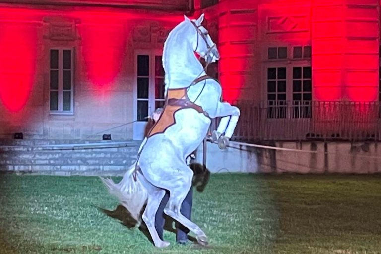 fete du cheval lamorlaye