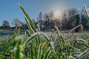 gel en picardie