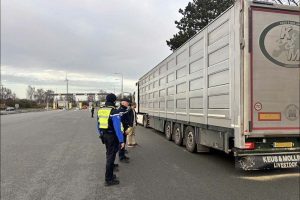 lutte contre la dermatose nodulaire contagieuse picardie