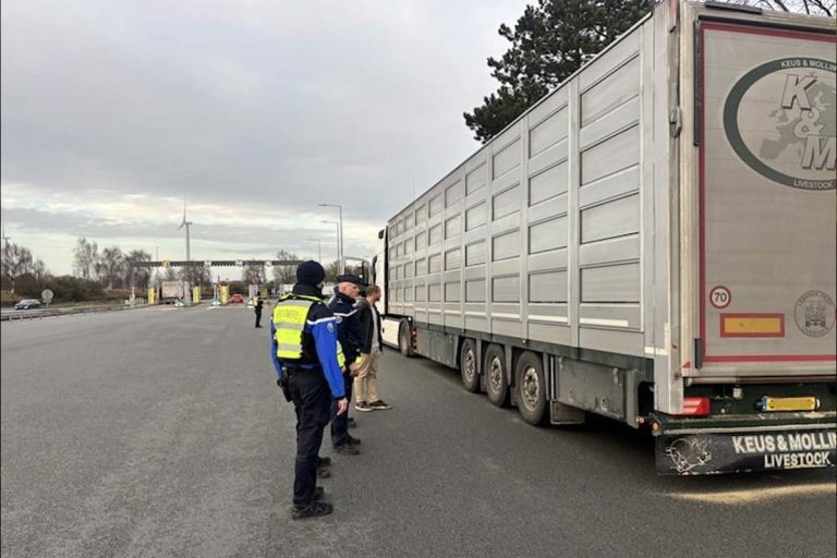 lutte contre la dermatose nodulaire contagieuse picardie