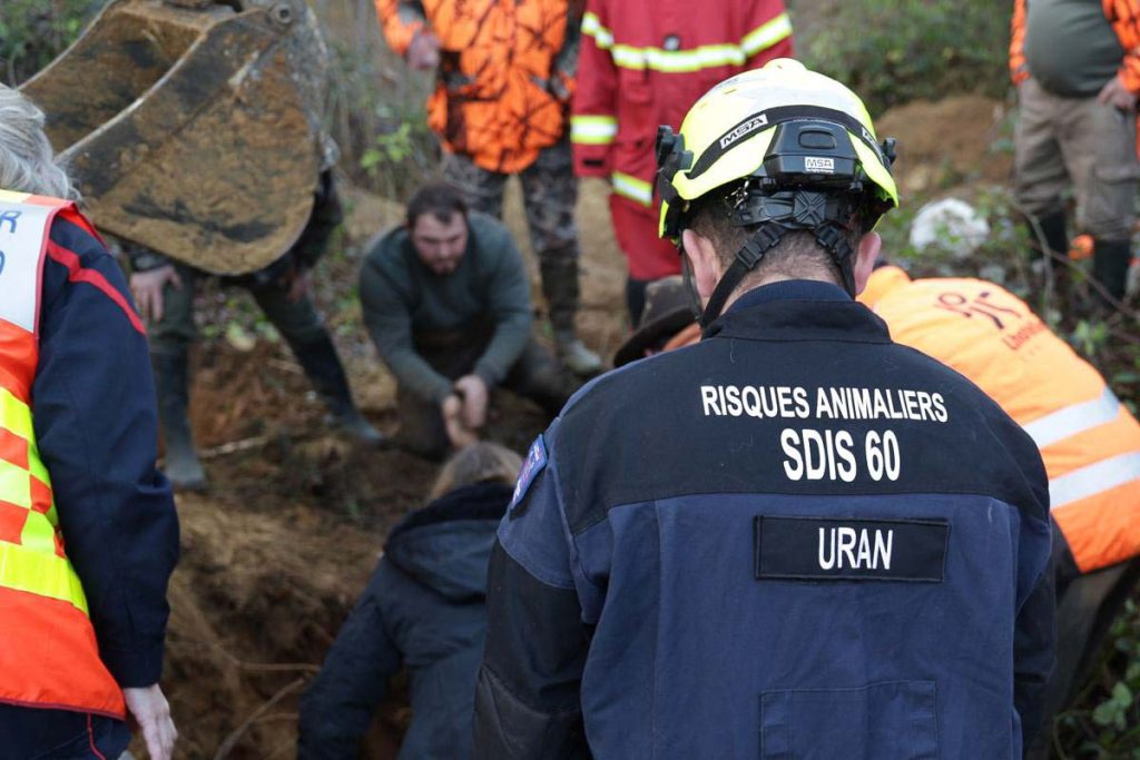 sdis60 risques animaliers