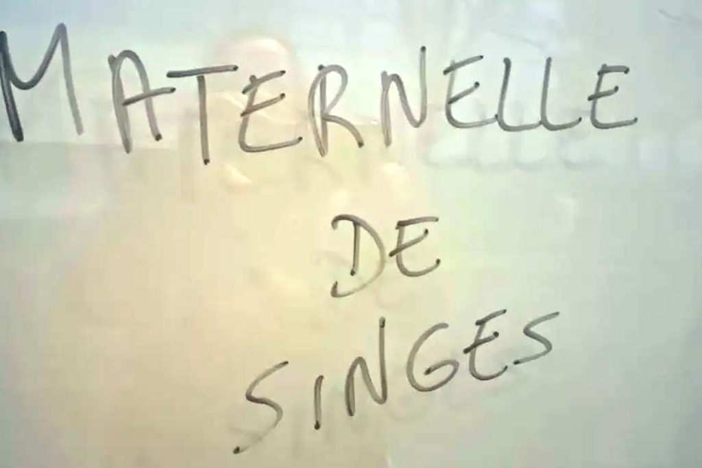 maternelle de singe beauvais