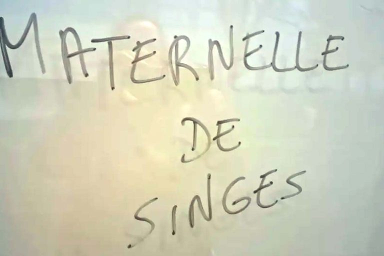 maternelle de singe beauvais