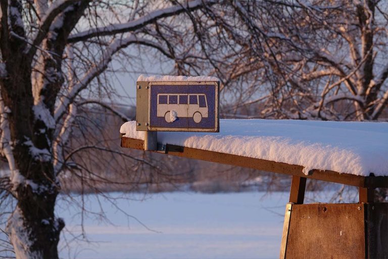 transport scolaire neige