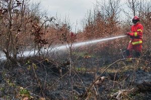 feu vegetation compiegne
