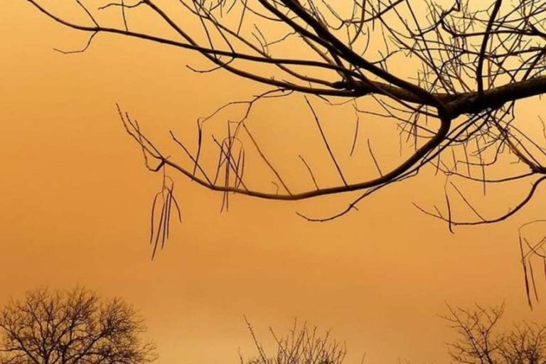 sable sahara ciel de picardie