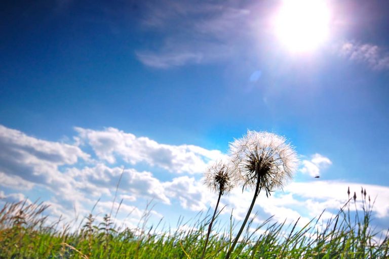 beau temps en picardie