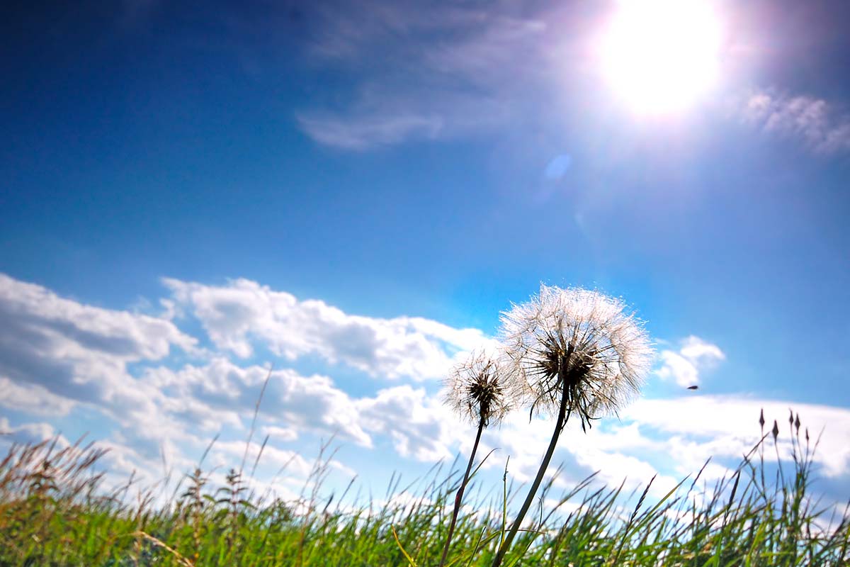 beau temps en picardie