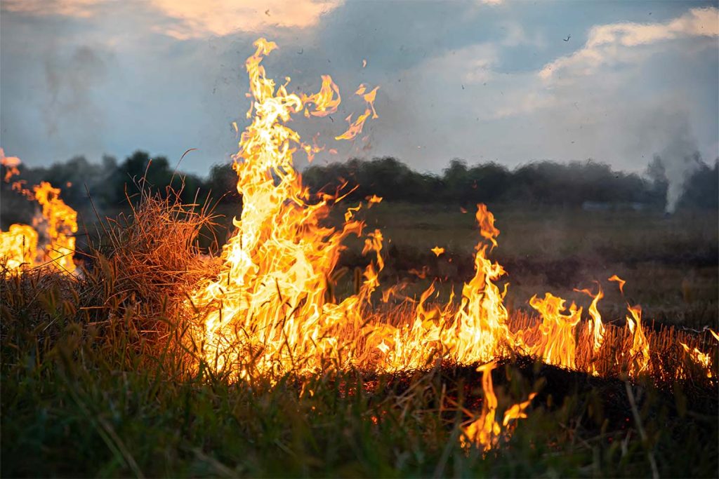 incendie foret picardie