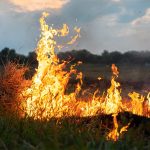 incendie foret picardie