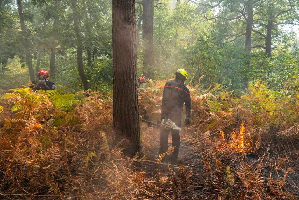 feu foret saint maximin