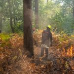 feu foret saint maximin