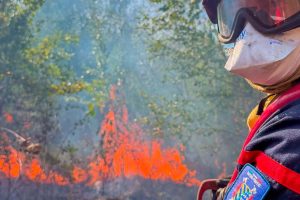 incendie foret orry la ville
